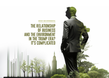 The relationship of business and the environment in the Trump era? It’s complicated